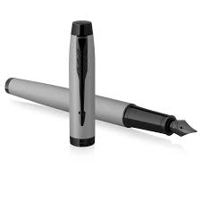 PARKER IM Stylo Plume Gris Mat avec Détails Noirs